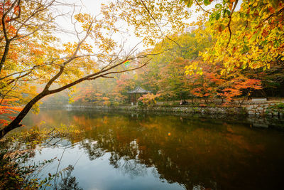 Reflection of trees in lake against sky during autumn