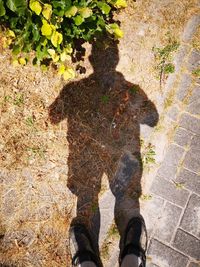 Low section of person standing on footpath