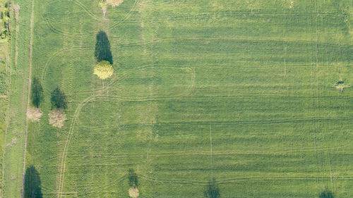 Aerial view of green landscape