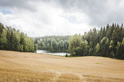 Scenic view of field and trees against cloudy sky