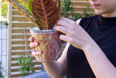 Young woman unboxing houseplants delivered by mail from an online shop