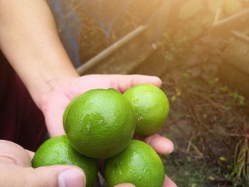 Close-up of hand holding fruit