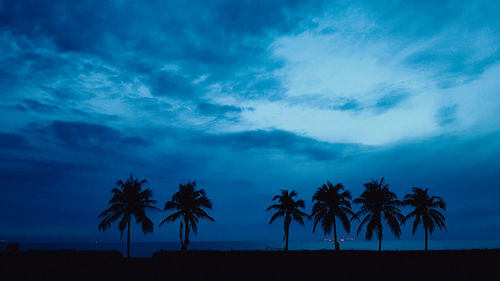 Silhouette palm trees on beach against sky at sunset