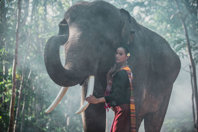 Young woman standing with elephant in forest