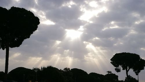 Low angle view of silhouette trees against sky