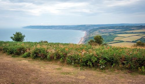 Scenic view of sea against sky