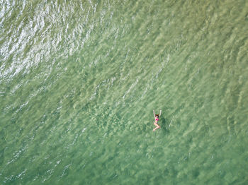 High angle view of woman swimming in sea