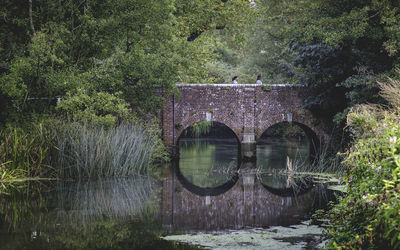 Arch bridge over river in forest