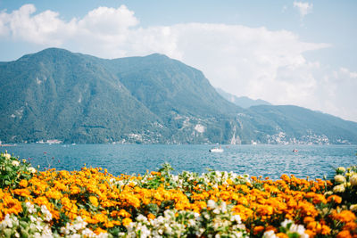 Scenic view of sea and mountains against sky