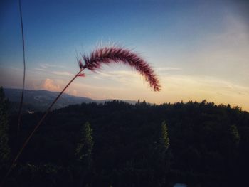 Scenic view of landscape against sky at sunset