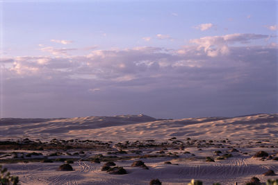 Scenic view of rocks in desert against sky