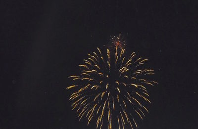 Low angle view of firework display