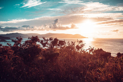 Scenic view of sea against sky during sunset