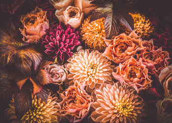 Roses, dahlias and maple leaves in vintage tones