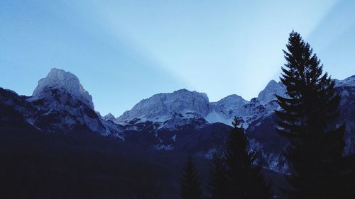 Pine trees on snowcapped mountains against clear blue sky