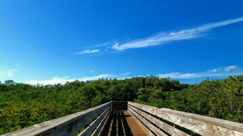 Railroad tracks amidst trees against sky