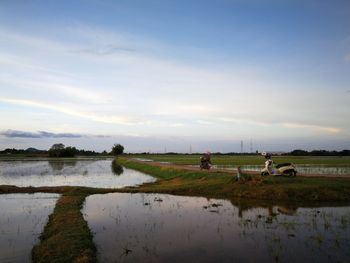 Scenic view of field against sky