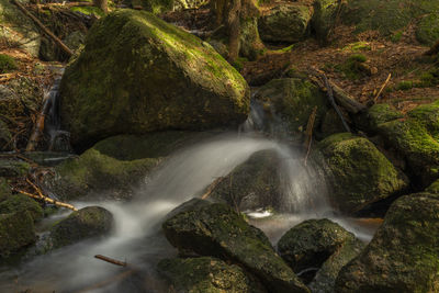 Scenic view of waterfall in forest