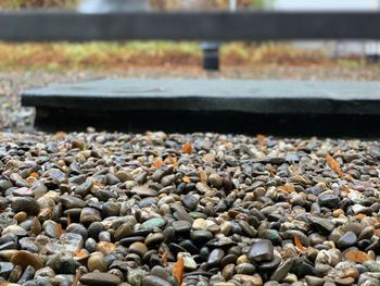 Close-up of stones on shore