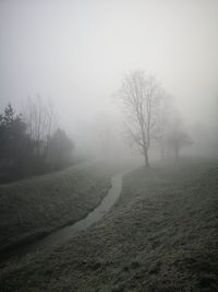 Bare trees on field against sky during foggy weather