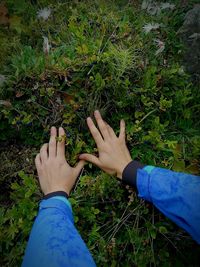 Hands touching plant