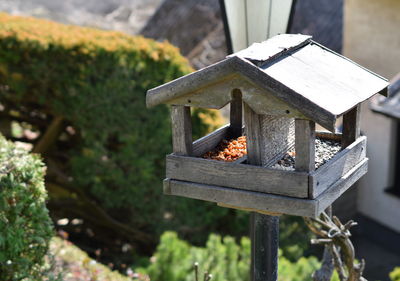 Close-up of bird house