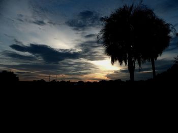 Silhouette trees against sky at sunset