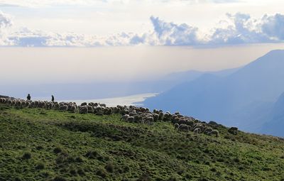 Scenic view of landscape against sky