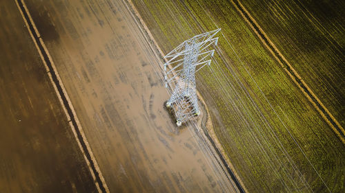 High angle view of starfish on land