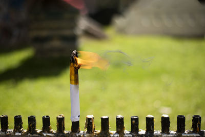 Candle with flame attached for worship at the back there is a green lawn