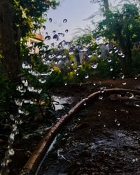 Close-up of raindrops on rainy day