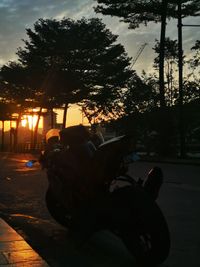 Silhouette man sitting by plants against sky during sunset