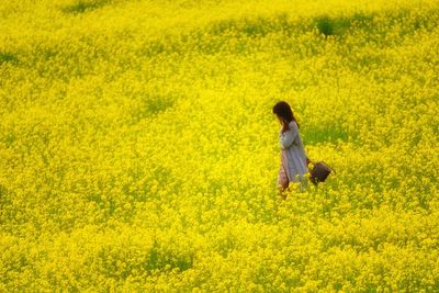 Woman walking on yellow flowerbed