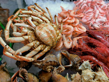 High angle view of prawns in market