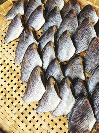 High angle view of fish in basket