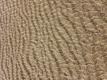 Full frame shot of sand