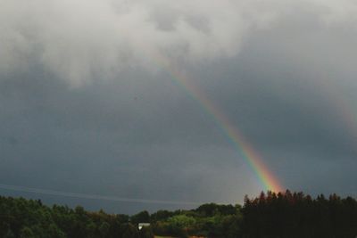 Low angle view of rainbow over trees against sky