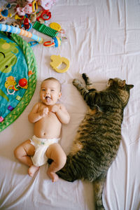 High angle view of cute baby toy on bed