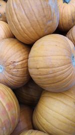 Full frame shot of onions for sale