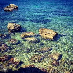 Close-up high angle view of leaf
