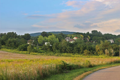 Scenic view of field against sky
