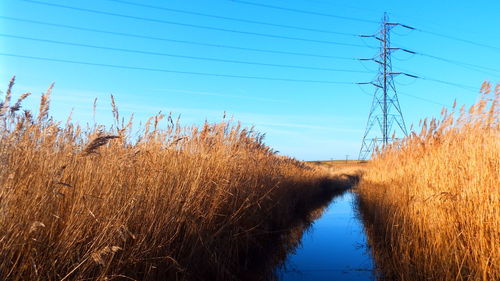 Plants and electricity pylon against clear blue sky