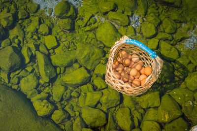 High angle view of wicker basket with eggs in hot spring pond