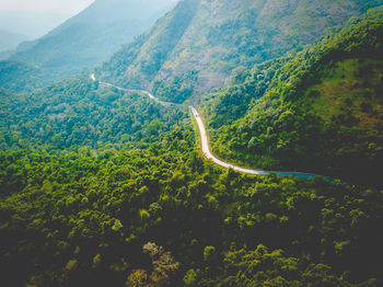 High angle view of trees growing on mountain