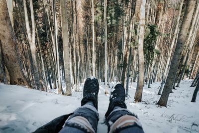 Low section of person on snow covered forest