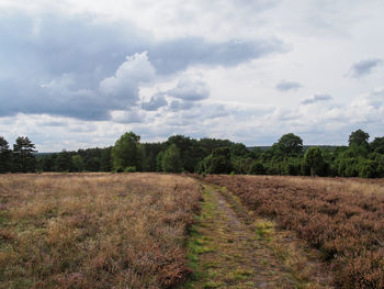 Scenic view of field against sky
