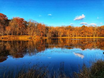 Reflection of trees in lake against blue sky