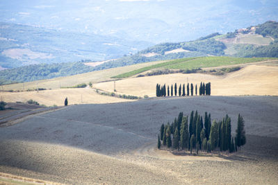 Scenic view of landscape