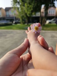 Cropped hand of woman holding flower