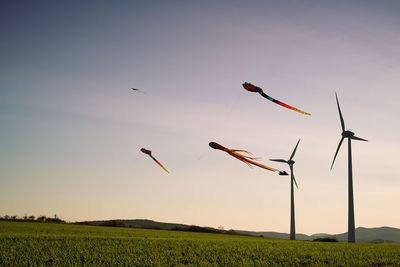 Scenic view of field against sky during sunset